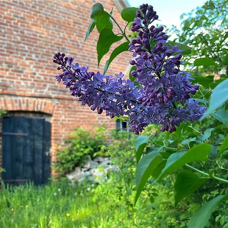 Alte Baeckerei Gnade Auf Ruegen Apartment Sehlen Bagian luar foto