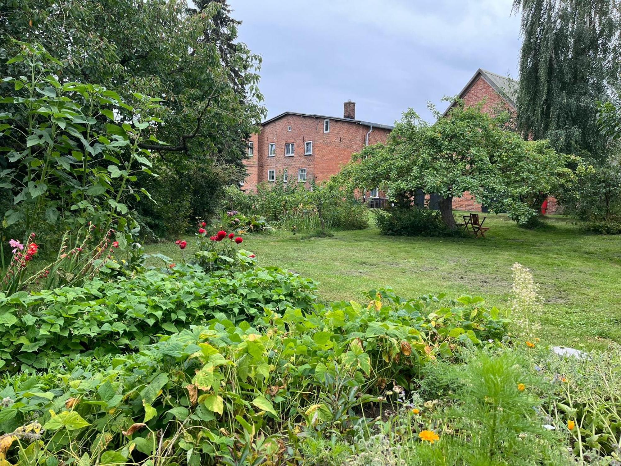 Alte Baeckerei Gnade Auf Ruegen Apartment Sehlen Bagian luar foto